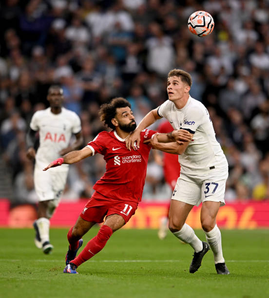 艾纳维立即 艾纳维立即