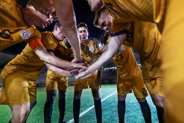 当裤袜逐渐 当裤袜逐渐