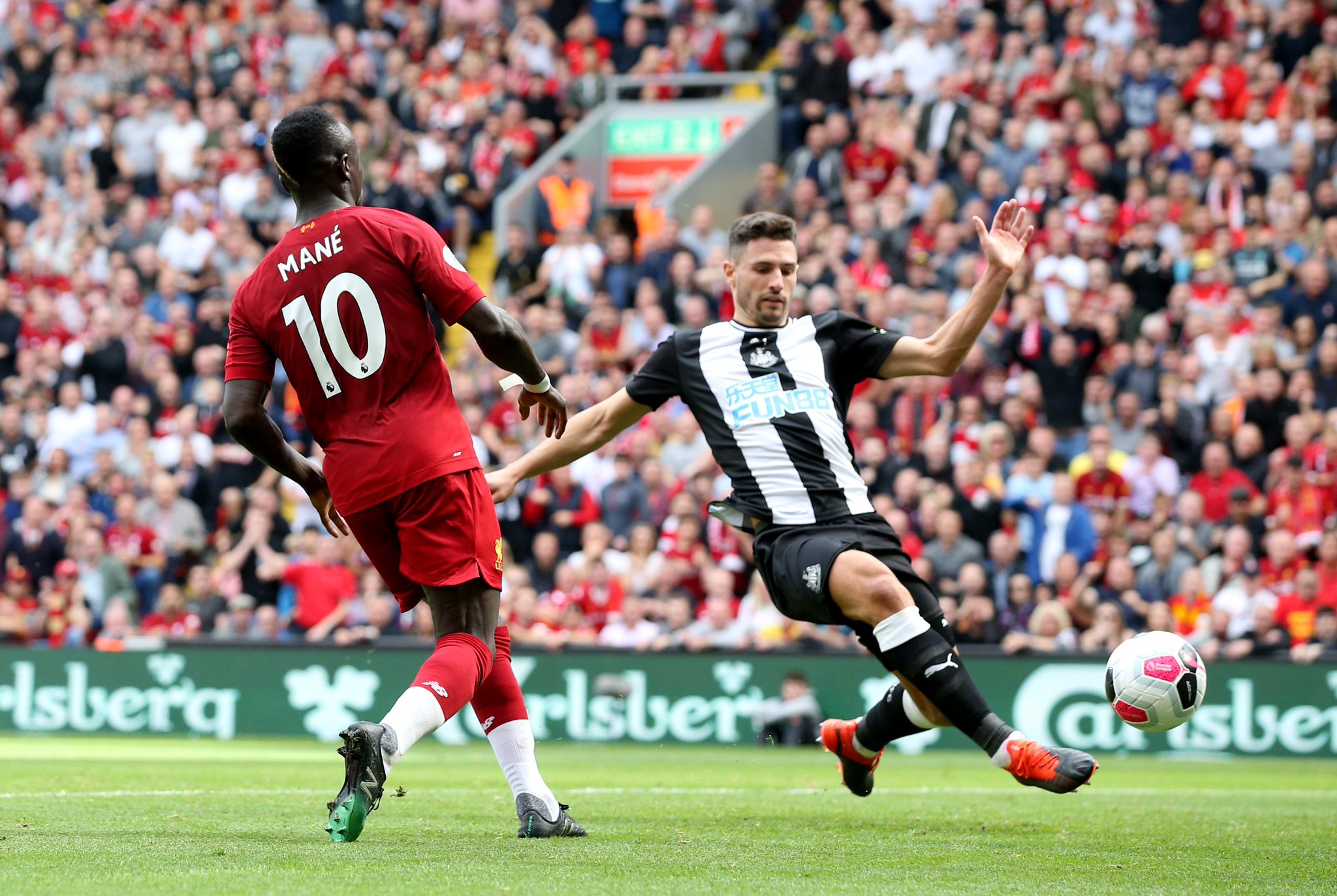 篮和稳定的 篮和稳定的