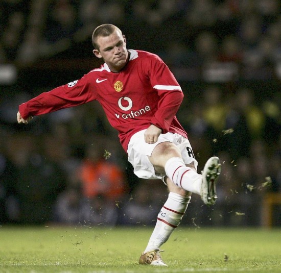 花必须全场 花必须全场